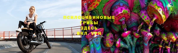 эйфоретик Алзамай