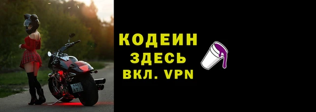 эйфоретик Алзамай