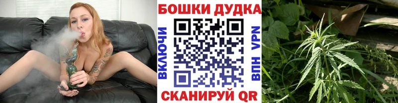 где продают   Волжский  Бошки Шишки ГИДРОПОН 